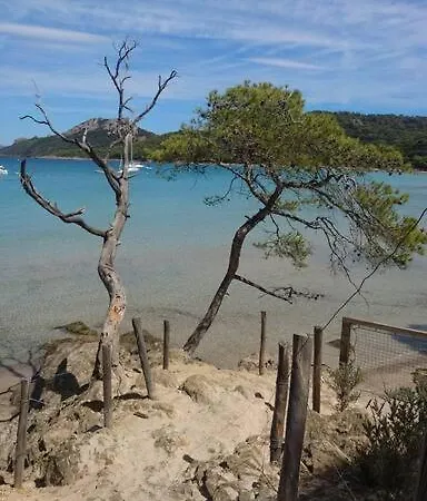 Apartment Neuf A 150m De La