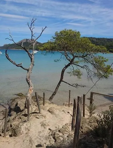 Lejlighed Neuf A 150m De La